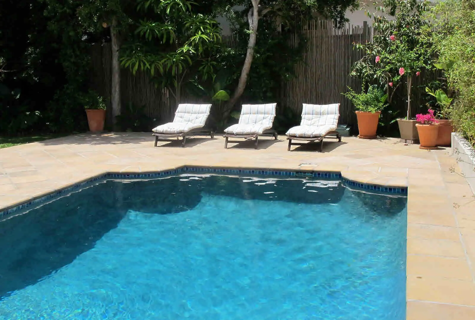Konukevi The Terrace Otel Cape Town